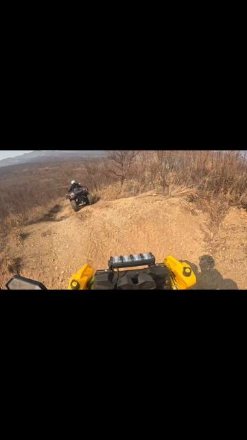 Губка боба за рулём  а мы pro25.ru   ставим перед собой задачу делать ваш отдых незабываемым