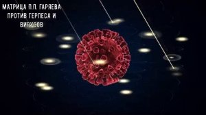 Прямой эфир: Волновые матрицы Гаряева – звуковое оздоровление