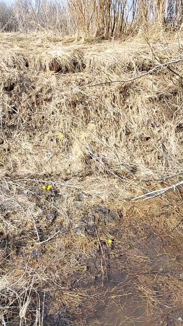 просто гуляем по весне