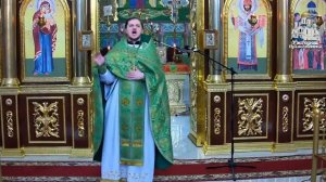 Трансляция Литургия Вход Господень в Иерусалим Вербное воскресенье 05.04.2026