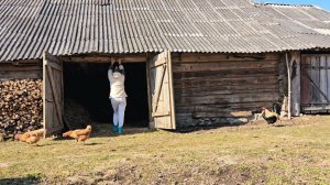 Семья в глухой деревне! Как и чем мы тут зарабатываем?! Наш хлев и огород.