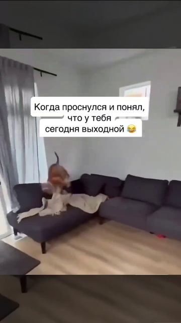 Ну жиза же))) Подписываемся;)