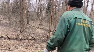 В лес С Д. Колей за Чагой, Первые грибы сезон открыт, Моя Жизнь В Деревне