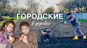 В ПЕРВЫЙ РАЗ ЗА ВСЕ СРАЗУ! Посадили картошку, завели цыплят.