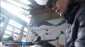 Наследие выдающегося скульптора Евгения Скачкова обрело новый дом. Почему родные мастера решили пере