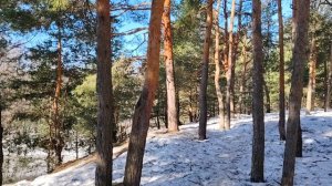 Не желаете ли проверить в какой степени  вас ценит руководство?