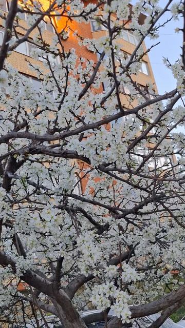 #анапа Мы дома...