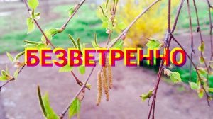 Пасмурный вечер после дождя! Тихие звуки природы!