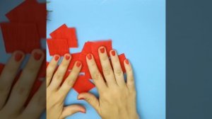 Пышная роза 🌹