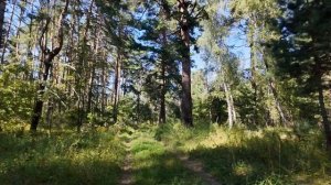 пережив развод