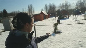 Видео привет с 6 соток 26 марта 2026 года.