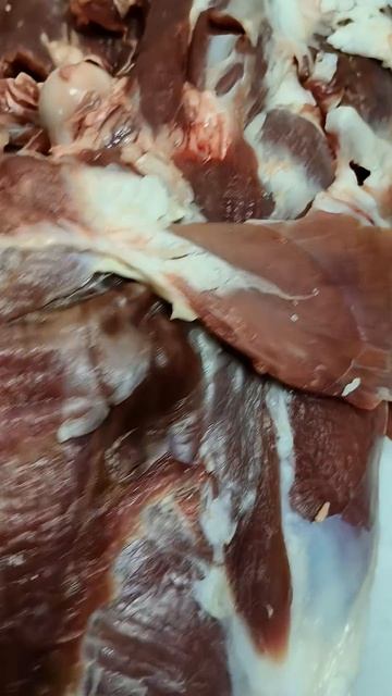 Ягнятина без запаха:секрет в зачистке