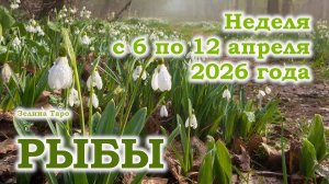 РЫБЫ | ТАРО прогноз на неделю с 6 по 12 апреля 2026 года