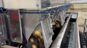 Работа 14-канальной весовой станции. Картофель 2,5 килограмма.