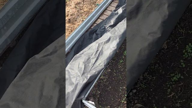 4 апреля  вышла в сад всходы в теплице нужно менять опоры для малины когда открывать розы?