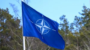 У наших границ: какой альянс придет на смену НАТО