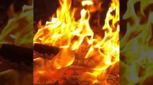 душу согреть и телу