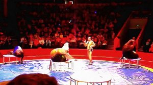 Цирк ( Из архива. Как давно это было... )