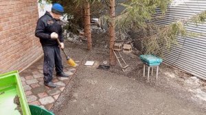 просыпается зоопарк