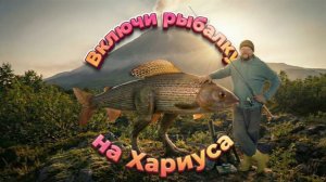 Рыбалка на Камчатке. Охота на Хариуса.