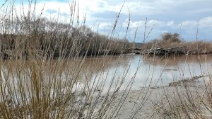 р.Сура после суровой зимы.