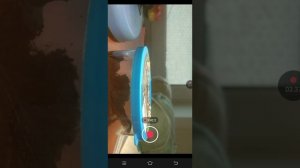 прыткая ящерица