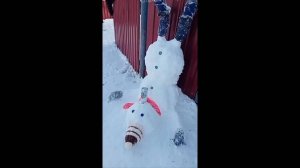 ВИДЕОПРИКОЛЫ \ КРУТЫЕ ПРИКОЛЫ 2025 \ НОВЫЕ ПРИКОЛЫ \ СМЕШНЫЕ ПРИКОЛЫ 2025 ЮМОР