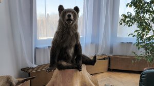 В санатории много всего интересного 👀Прошлась по "Охотничему холлу", постирала и сделала куклу 👍