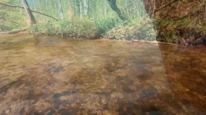 Нас отпевали без икон