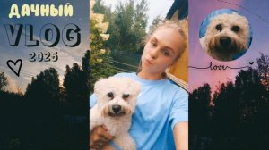 Дачный vlog | отдых, спорт, природа и полный расслабон🫶🏻