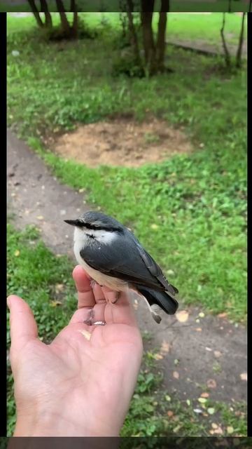Стихотворение «Ребёнок»