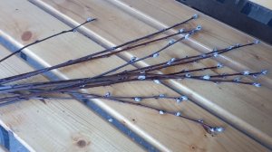 05-04-2026 Влог Где же будут вить гнезда ласточки?Ночью пришла идея