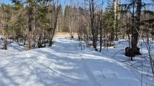 Крайняя прогулуа по реке