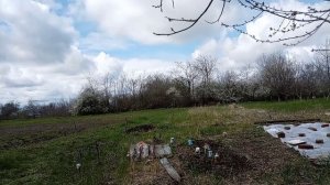 Немного огорода! 🌱🪵☘️Испекла сладкие булочки! 🥯🥯🥯☕🫖Юг России🌴.