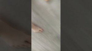 показываю свои игрушки и игры