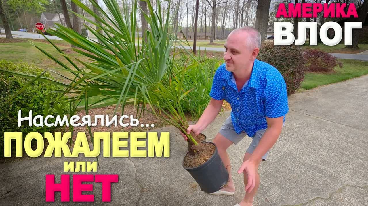 Повезло？ Купили большие пальмы) Готовим двор к весне с находками из потерянных посылок ⧸ Влог США