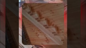 1000055110.mp4 (Собака наблюдает за устройством лестницы на 2-ой этаж в доме А-фрейм)