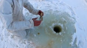 18+ Селитра аммиачная 2. Зимняя рыбалка. Маньяк с бензопилой. Взрыв.