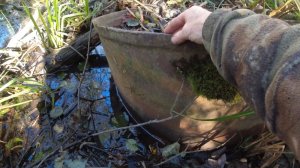 Добрался туда куда давно хотел приехать по собирать металл