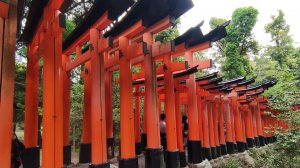 6. Сэндзоку Тории - тысячи красных ворот (Киото, Япония) Senzoku Torii (Kyoto, Japan), 千束鳥居 (京都、日本)