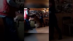 VID_20260405_161502_976.mp4