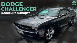 Хотели дешево купить, но дешево продали | Dodge Challenger