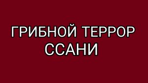 Не повторять! Опасно для жизни!!!