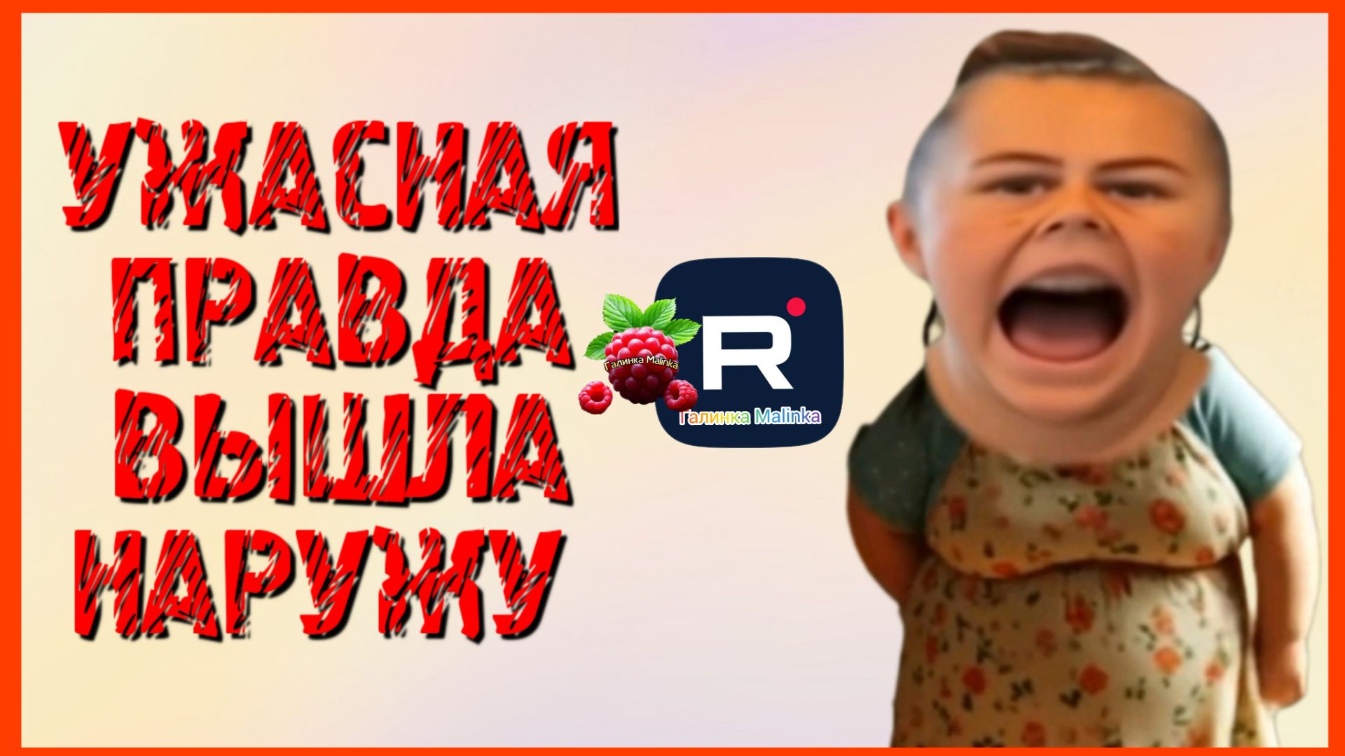 Сельчанка в Америке _Ужасная правда вылезла наружу _Обзор _Selchanka V Amerike _Big Big Family