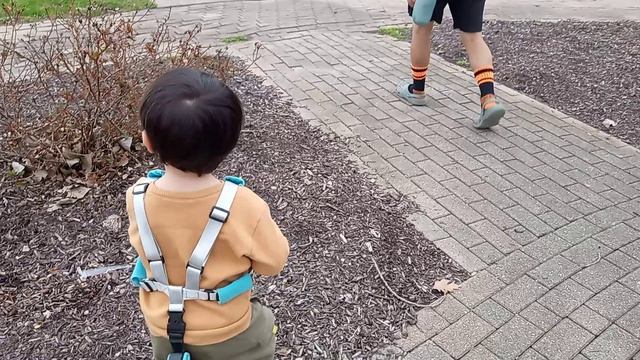 Когда всё зацвело