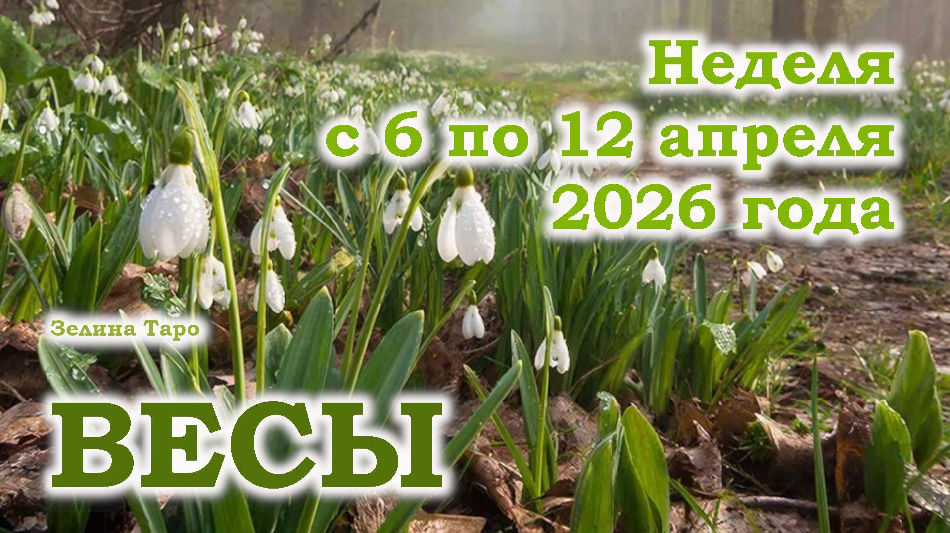 ВЕСЫ | ТАРО прогноз на неделю с 6 по 12 апреля 2026 года