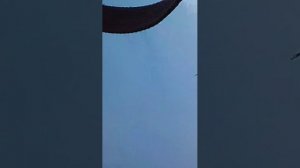 сижу на бревне