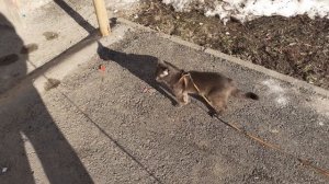 Опасность миновала.