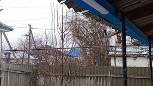 Переехали на Юг/Ледяной апокалипсис/Артём в больнице.