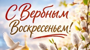 Праздник в Семье! ❤
Вечернее пение птиц
Обзор покупок